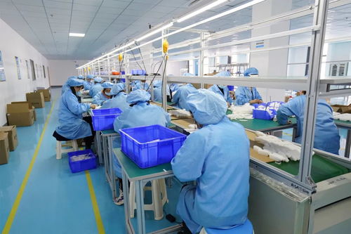 雙品牌驅動與雙工廠投資 國內貿易的協同發展之路