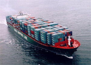 專業護航全球貿易 —— 上海馨圓實業進出口代理全解析